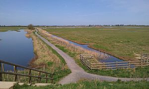 RSPB Frampton Marsh.jpg