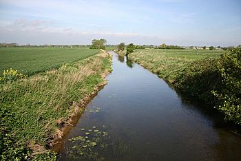 River Devon - geograph.org.uk - 412747.jpg