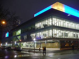 Ryerson Image Centre drizzle.JPG