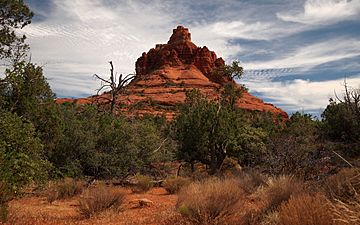 Sedona Arizona-27527-6.jpg