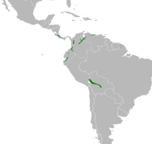 Spinus xanthogastrus map.svg