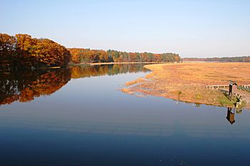 Squamscott River Newfields NH.jpg