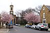 St Peter's Square, Hammersmith.jpg