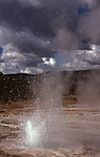 Tardy Geyser-LaRue1976.jpg