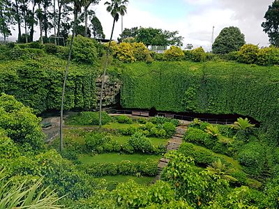 Umpherston Sinkhole, Mount Gambier, November 2018