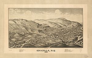 Unadilla, N.Y. 1887. LOC 75694856