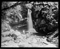 Wainui Falls Tyree Collection 1