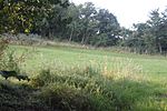 Part of the linear boundary known as the Wansdyke 375 m south east of Knowle Farm