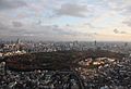 Yoyogi Park from Hyatt