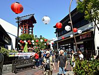 20140810-0429 Nisei Week Festival (cropped)