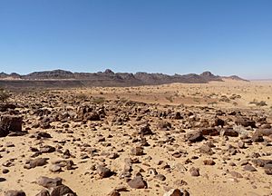 Adrar-Reg (1)