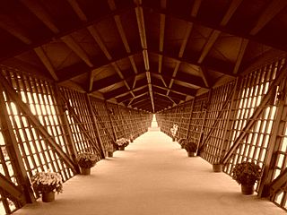 Ancient Infinity Room