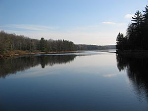 Black Moshannon Lake