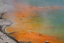 Champagne pool edge wai-o-tapu nz