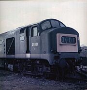 Class 23 D5901.jpg