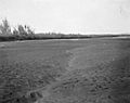 Colorado River below Imperial Canal intake