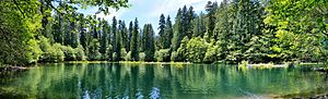 Donaca Lake June 2014