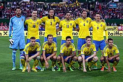 FIFA World Cup-qualification 2014 - Austria vs Sweden 2013-06-07 (003)