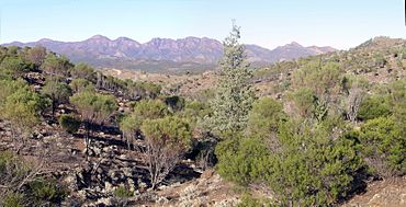 Flinders Ranges NP SA.jpg