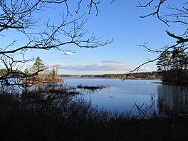 Great Quittacas Pond, Rochester MA.jpg