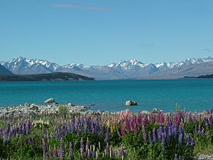 Lake Tekapo