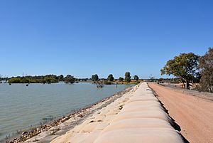 Lake Victoria embankment