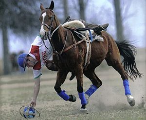 Levante