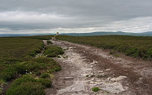 Long Crag summit