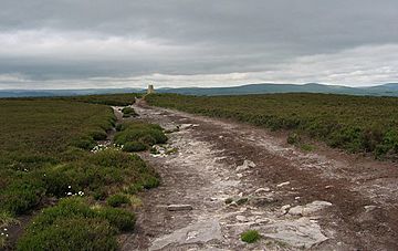 Long Crag summit.jpg