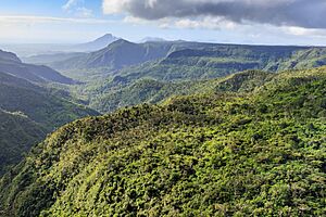 Mauritius Black-River-Gorges-National-Park-01