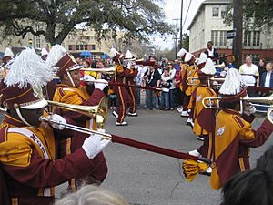 McDonogh 35 Trombone Sleves