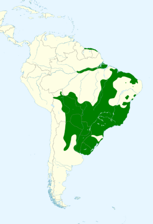 Melanerpes candidus map.svg