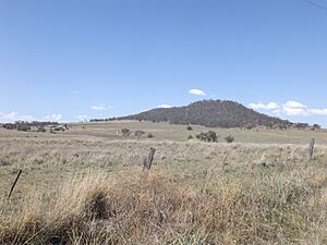 Mount Sibley East Greenmount