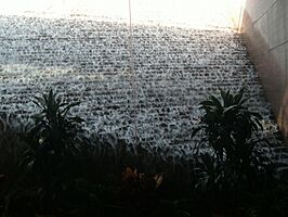 National Gallery, Concourse - fountain