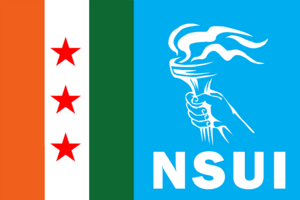 Nsui flag new