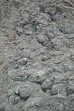 Pillow lava-Marin