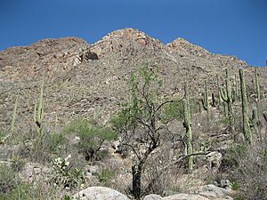 Pima Canyon Pusch Peak