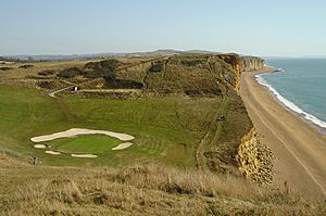 Port Coombe