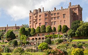 Powis Castle 2016 116 (cropped).jpg