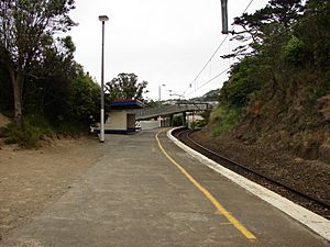 Raroa railway station 01