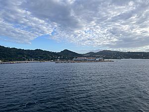 Roatan from a cruise ship