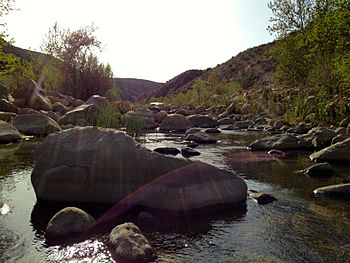 Sespe Wilderness Topography 3.JPG