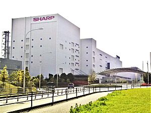 Sharp Sakai (brighter filtered).jpg