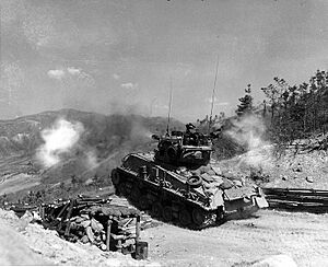 Sherman-korea