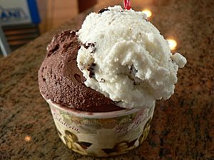 Stracciatella gelato.jpg