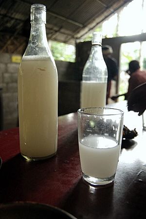 Toddy Bottle and Glass.jpg