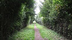 Tranent to Cockenzie Wagonway - geograph.org.uk - 961016