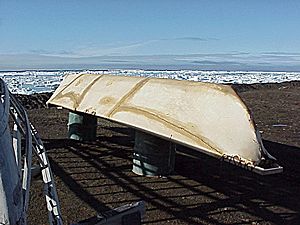 Umiaq skin boat