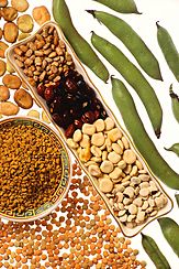 Various legumes