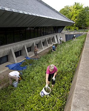 2015 North Christian Church Clean Up